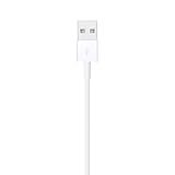 Apple Lightning to USB Cable (1 m)