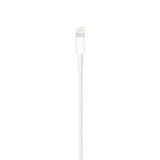 Apple Lightning to USB Cable (1 m)