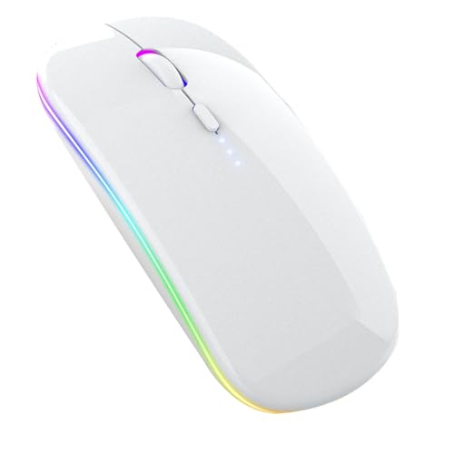 Generic 2.4G+BT5.2 Cordless Bluetooth Mouse, Wireless Portable Quiet Pc Mice, Power Display, Lightweight Ergonomic Mice for Laptop Pc Computer (White), 113x57x27mm