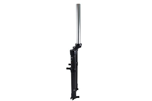 Exotic Rigid Carbon UD Fork with 1 Inch Steerer, 39cm Disc +V for MTB 26in Wheel