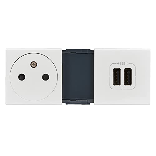 Legrand leg99605 Socket + Charger 2 USB Mosaic White