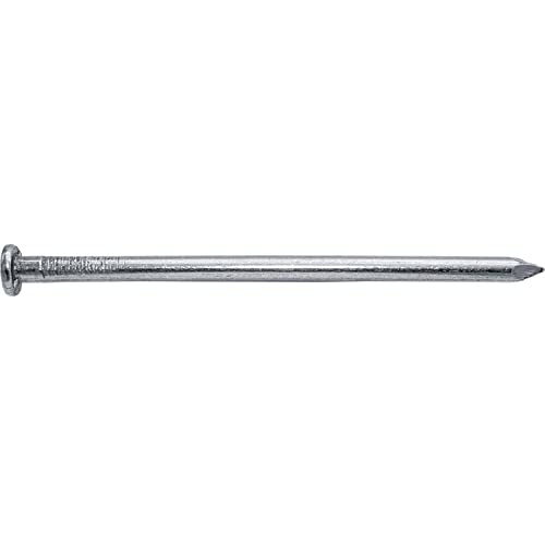 4 Inch Bright Common Nail (20D) 5 pounds ~140 Nails. Good for general construction projects