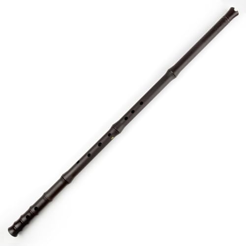 Chinese Flute F/G Key Vertical ABS Plasric Xiao Flute no Crack Musical Instruments Traditional Woodwind Xiao Flute Beginner Flute (F Key)