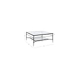 SAFAVIEH Couture Collection Mieka Black Iron/Tempered Glass Square Cocktail Table