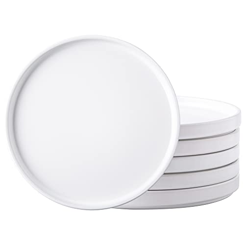 AmorArc Ceramic Dinner Plates Set of 6, 10.0 Inch Matte Stoneware Plates for Kitchen,Modern Flat Dinnerware Dishes Set,Microwave& Dishwasher Safe, Scratch Resistant, Matte white