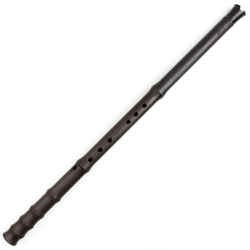 Vertical ABS Plastic Dong Xiao Flute A/C/Bb Key, no Crack Musical Instruments Traditional Woodwind Xiao Flute for Beginner (Bb Key)