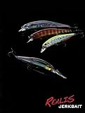 Realis Duo Realis Jerkbait 120mm/1.7": Fishing Lure for Variety of Fish Species with Treble Hooks, Suspending/Sinking Type, Hardbody Baits for Minnow Bass Perch: Made in Japan