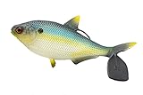 13 FISHING - BAMF Shad - Soft Plastic Boot Tail Swimbait - 8" - 3oz - Epic Shad - 1 Bait Per Pack - CB-BAMF8-30