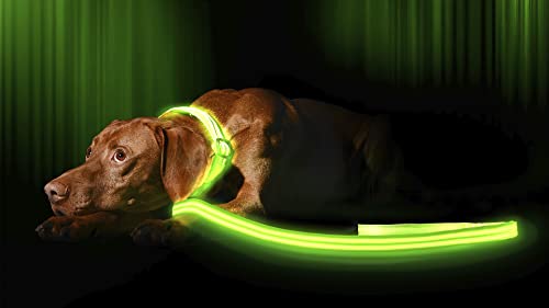 ILLUMISEEN LED Light Up Dog Leash | Ultra High Visibility Up to 350 Yards | 3 Lighting Modes | USB Rechargeable, No Batteries Needed | Padded Handle & Rotating Swivel Clasp to Prevent Leash Tangling