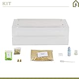 AntHouse - Natural Sand Ant Farm | Acrylic Big Starter Kit | Educative Ant Hill | 11.81 x 5.91 x 3.94 in