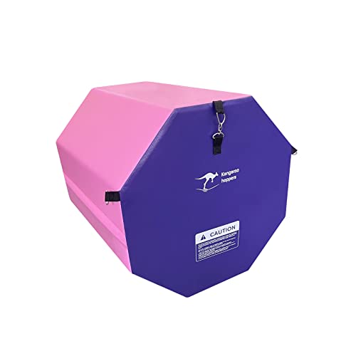 Kangaroo Hoppers Gymnastics Octagon Tumble Mat 19"x23" with Carrying Handles, Somersault Backbend Tumbling Trainer for Home Gym Exercise (Purple/Pink)