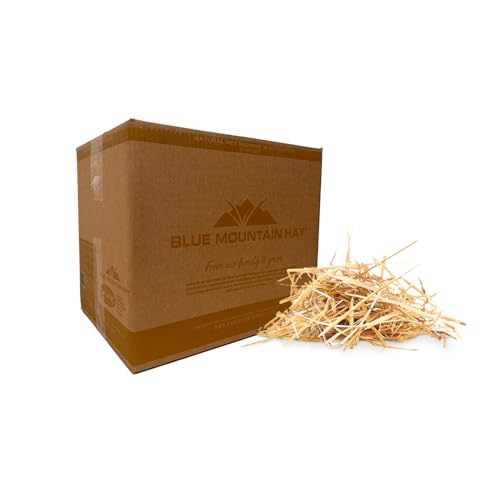 Blue Mountain Hay Organic Bedding Straw (25 lb) for Guinea Pigs, Chinchillas, Rabbits, Hamsters, Chickens, Stray and Feral Cats, Chicken Coops and Small Pet Shelters | Absorbent, Warm, Soft & Fresh