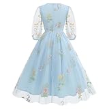 Half Sleeve Floral Embroidered Dress for Women Flower Embroidery Tulle Prom Dress Wrap V Neck Sheer Mesh Puff Sleeve Cocktail Party Dress Formal Wedding Guest Flare A Line Tea Party Dress Light Blue S