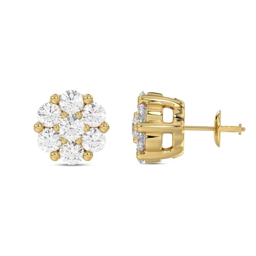 10k Gold Round Natural Diamond Flower Cluster Stud Earrings (1/10 cttw, I-J Color, I3 Clarity) (yellow-gold)