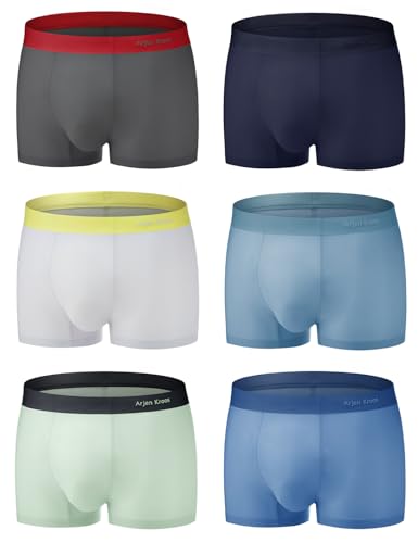 Arjen Kroos Mens Ice Silk Underwear Trunks with Pouch Breathable Boxer Briefs for Men Short Leg Underpants (6 Pack,S,XXL)