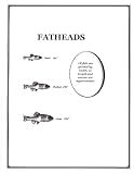 Fathead Minnows (Small, 2 POUNDS)