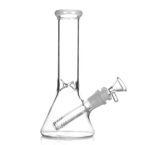 10 Inch Gas Washing Bottle with 14mm Borosilicate Glass Funnel & Tube | 3-Piece Lab Set | Durable, Reusable for Laboratories, Chemistry & Scientific Applications