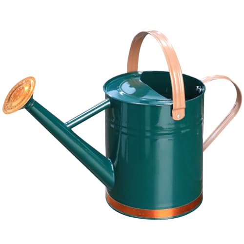 yourjoy Metal Watering Can, One Gallon Watering Cans Stainless Steel for Outdoor Indoor Garden Plants Watering (One Gallon Green Decorative Strip)