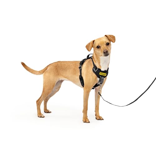 PetSafe Easy Walk Comfort No-Pull Dog Harness Full-Body Padding - Better Walks on The First Use - 5 Points of Adjustment X-Small, Black