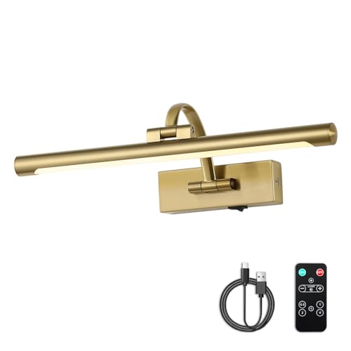 DESOOP Battery Operated Picture Light with Remote and Timer, Wireless Art Lights for Paintings Brass Rechargeable Gallery Light Dimmable Artwork Lighting for Canvas, Portrait 16'' Inch Warm White