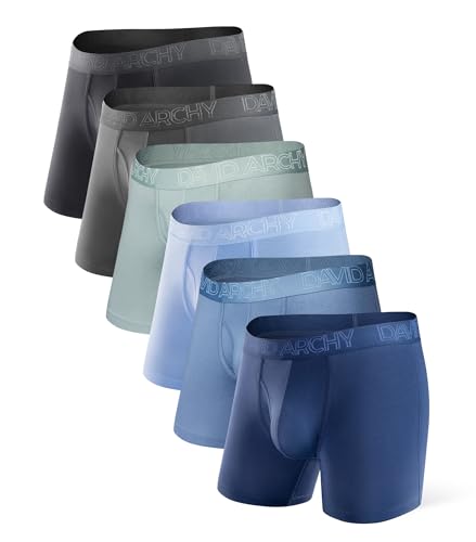 DAVID ARCHY Men’s Underwear Breathable Boxer Briefs Performance Stretch Moisture-Wicking with Pouch Underwear for Men 6 Pack (L, Assorted Color - 5.5" in 6 Pack)