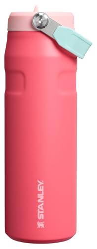 Stanley IceFlow Flip Straw 2.0 Water Bottle 24 oz | Built-In Straw for Travel and Sports | Lightweight and Leak Resistant | Insulated Stainless Steel | BPA-Free | Watermelon