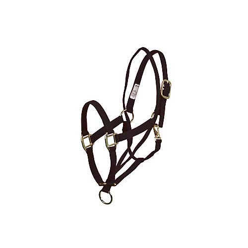 Basic Pull Back Training Halter Black