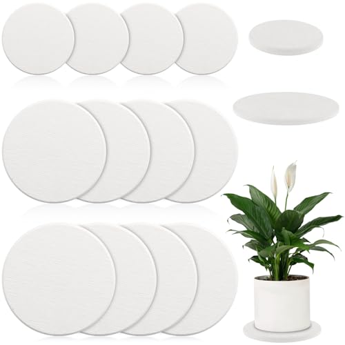 12Pack Diatomaceous Earth Coaster 4/6/8inch Diatomite Plant Saucer Stone Plant Sourcer Instant Dry Water Absorbent Diatomite Tray Water Absorbent Plant Coasters Absorbent Pad Diatomaceous Earth Mat