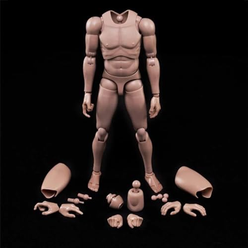 RoofWorld 1:6 Scale Nude Male Figure Body, Europe/Asian Skin Muscular Body Model Man Action Figure Fit 12Inch Doll Without Head Sculpt for Head with Neck (MX02-A)