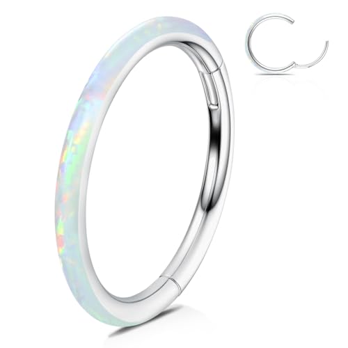 WBRWP 316L Stainless-Steel Piercing-Ring Hinged Nose-Rings-Hoop with White Opal 16G(1.2mm) Segment Clicker Lip Rings Daith Earrings Cartilage Rook Diameter 8mm Silver