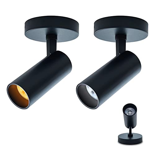 JJiuzming Spotlight 2 Pack 12W Spot Light Indoor 5CCT 2700K-6000K Selectable Dimmable LED Flush Mount Ceiling Spot Lights Directional Spotlights,Black,Adjustable Tilt Angle Accent Lighting