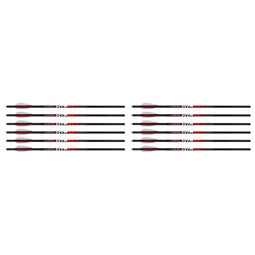 Killer Instinct MSCKI-1064-6 HYPR High Velocity Big Game Dense 20 Inch Heavy Carbon Crossbow Bolts with 3 Inch Vanes, 6 Bolts Per Pack, 2 Pack