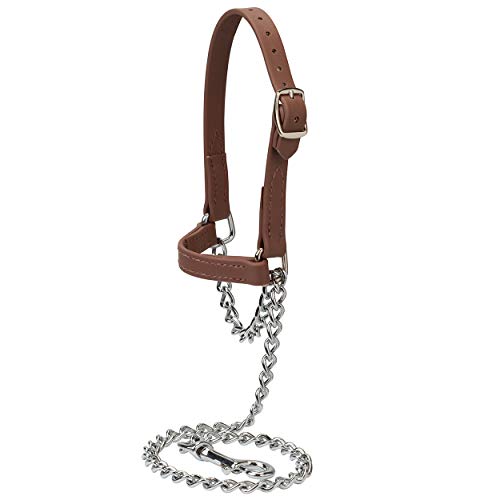 Brahma Webb ® Goat Halter, Medium, Brown
