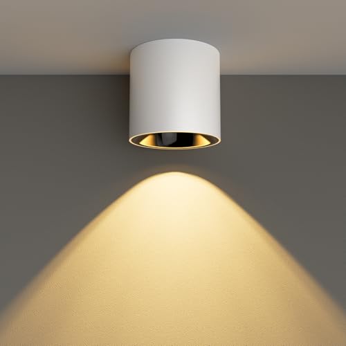Oliterlux 24W LED Dimmable White Ceiling Spot Light Aluminum 4.92'' Cylinder Spotlight Indoor Modern Minimalist Focus White Ceiling Down Light Fixture for Living Room Hallway Foyer CRI90 3000K