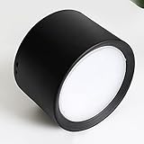 5/7/12/15/18/24W Round Downlight Tricolor 3000,4000,6000K Panel Lamp LED Surface Mounted Ceiling Light for Indoor(Black,5W)