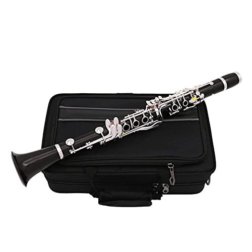 Clarinet Set Professional Performance Clarinet C Tone 17-Key Ebony Silver Plated with Protective Case Professional Clarinet