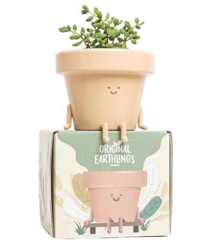 Original Earthlings Sitting Pot - 3.5 Inch Cute Plant Pot - Plastic Funny Planter with Drainage - Unique Cactus Lover Gift - Small Succulent Face Flower Pot - Cute Plant Gifts for Plant Lovers