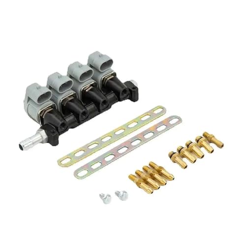 CNG/LPG Sequential Fuel System Injection Auto Gas Conversion Kit Rail 2 Or 3 Ohm Car Injector(2ohm)