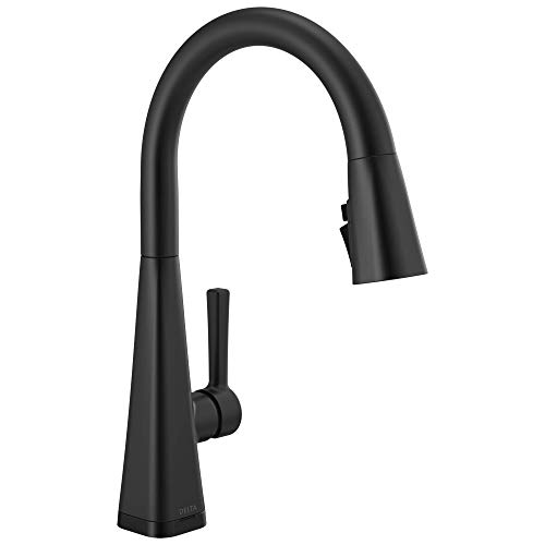 Delta 19802TZ-BL-DST Lenta Kitchen Faucet, Without Soap Dispenser, Matte Black