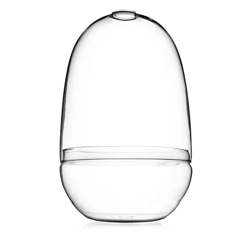 Bloomingville Large Clear Glass Terrarium