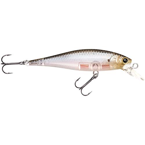 Lucky Craft Pointer 100SP Suspending Rattling Jerkbait 4" Ghost Minnow Ghost Minnow 4" (100mm)