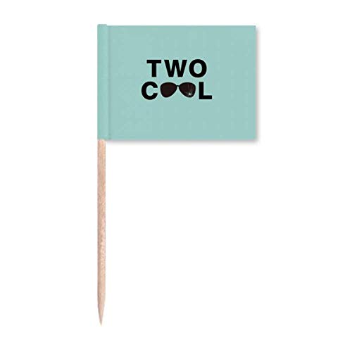 Two Year Old Cool Glasses Broken Toothpick Flags Marker Topper Party Decoration