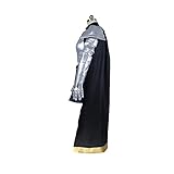 Fairy Tail Erza Scarlet Heart Kreuz Armor Cosplay Costume3423 (Male S)