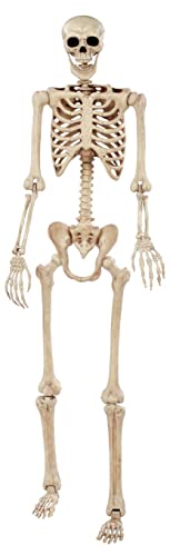 Crazy Bonez Pose-N-Stay Life Size 6 FT Skeleton with Realistic Posable and Movable Joints for Halloween Indoor and Outdoor Decoration