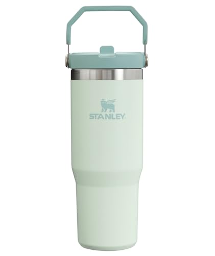 Stanley IceFlow Flip Straw Tumbler with Handle 30 oz | Twist On Lid and Flip Up Straw | Leak Resistant Water Bottle | Insulated Stainless Steel |BPA-Free | Mist
