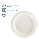 Dixie Basic 8.5" Light-Weight Paper Plates by GP PRO (Georgia-Pacific), White, DBP09W, 500 Count (125 Plates Per Pack, 4 Packs Per Case)