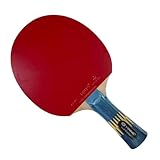 Pro Table Tennis PingPong Combo Racket Yinhe W-6 Blade with 2X Palio AK 47 AK47 Blue Matt Rubbers Shakehand Long Handle FL (FL with case)