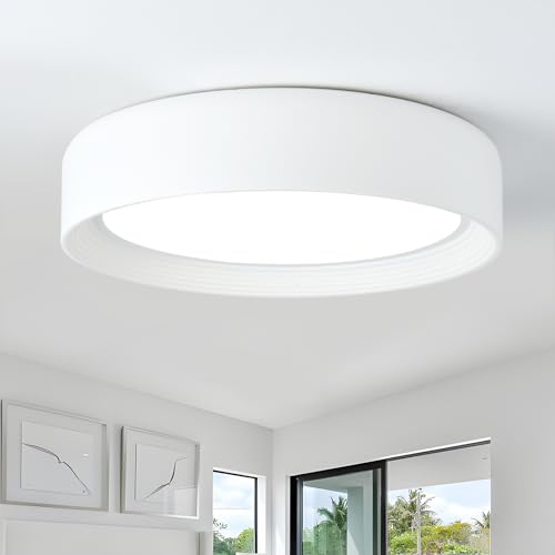 Badiegh Dimmable Flush Mount Ceiling Light Fixture,15.75 Inch Modern Round Ceiling Lamp,5CCT 3000K-6500K, Close to Ceiling Lighting for Bedroom,Living Room