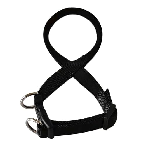 KANGYEBAIHUODIAN Adjustable Muzzle Dog Halter Leader Belt Durable Anti-bite Muzzle Fit for Dogs Puppy Training Leash Anti Biting Stop Chew Mouth 2022(Black,XL)