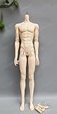 HeHeBJD 1/3 Scale Leo Handsome Male Dolls 70cm Body Resin Figures Model+face Make up (Normal no Make up)